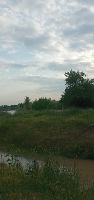 23 sotxli yer sotiladi