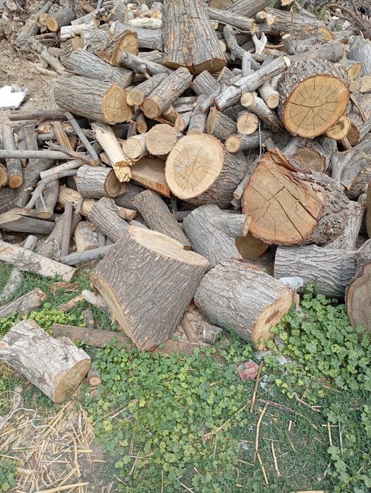 Продаются дрова.