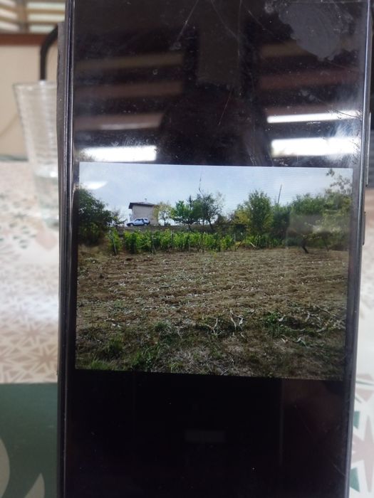 Лозе местност Драката