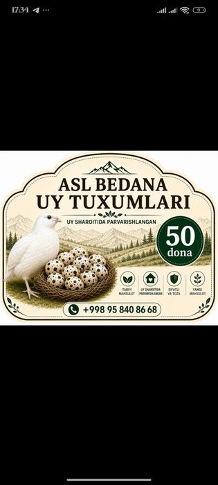 Uy sharoitida yetishtirilgan bedana tuxumlari