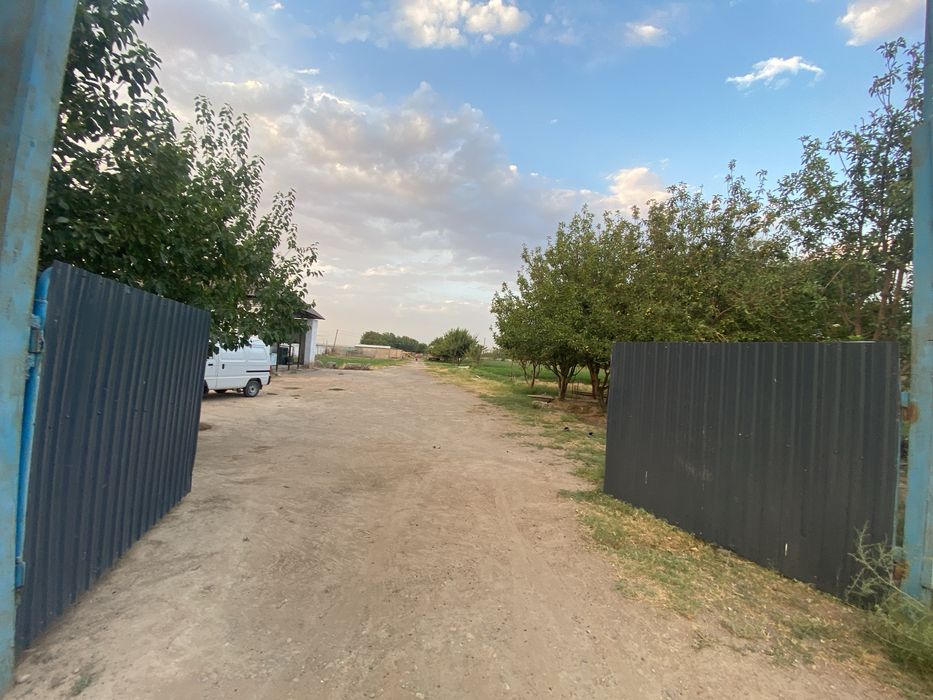 Ferma sotiladi 30 tonnalik marazelnik 10 000 ta broler boqishga joy bo