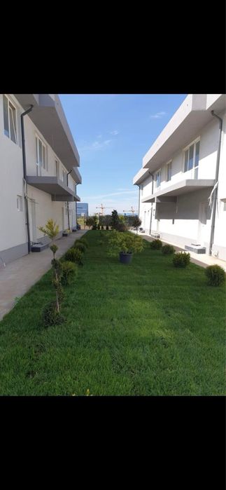 Plante ornamentale si gazon cu sistem de irigati