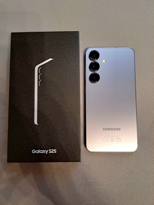 Samsung Galaxy S25 12/256 Silver Shadow