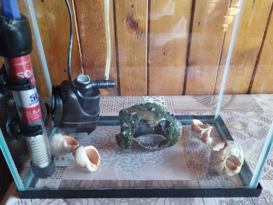 11 литров аквариум с всичко необходимо