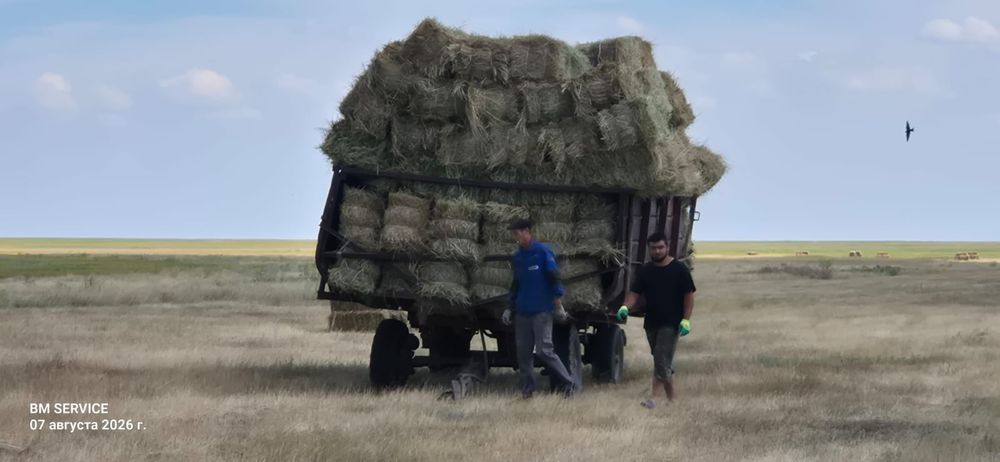 Продам Сено в тюках