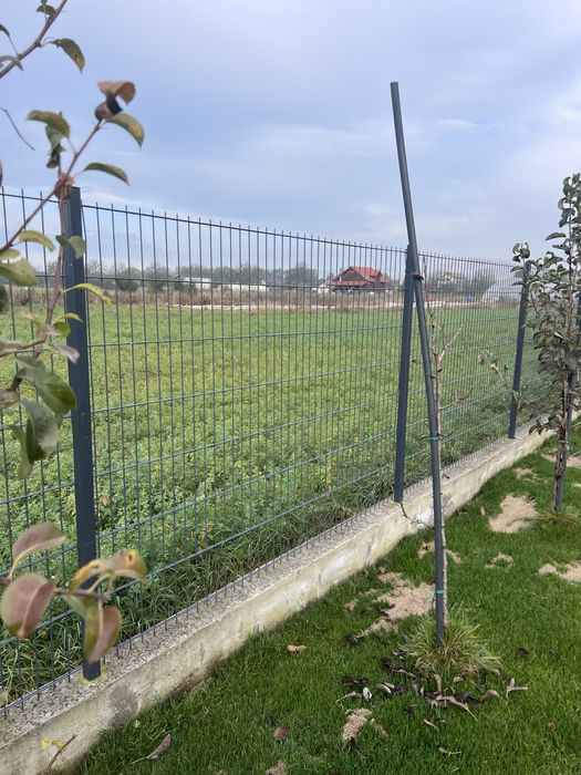 Gard dublu fir antracit