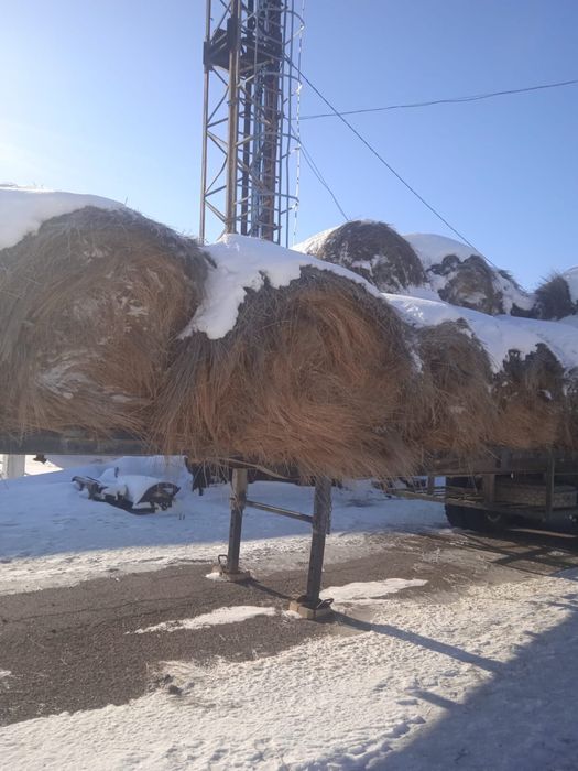 Продам сено житняк в рулонах