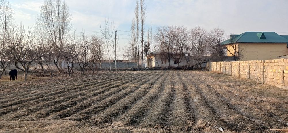 Учаска сотиладии