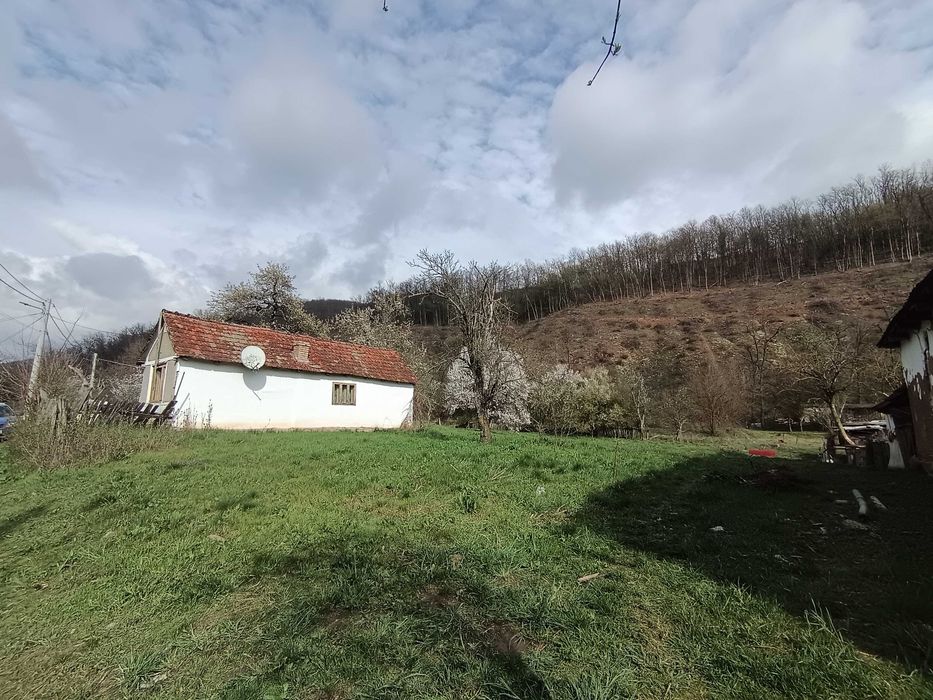 Tern cu casa bătrânească de vânzare