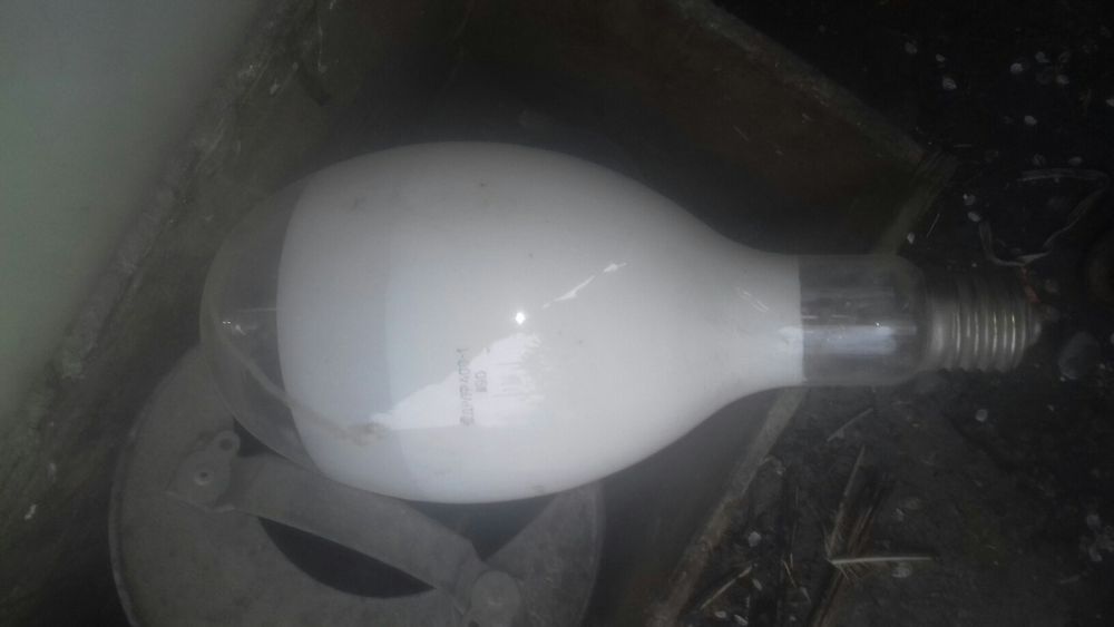 Фонарные  лампы не дорого