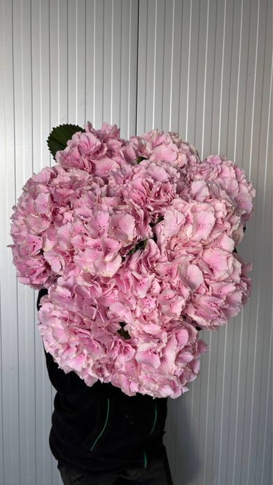 Тюльпаны оптом,доставка цветов,букет цветов,тюльпаны,пионы,розы