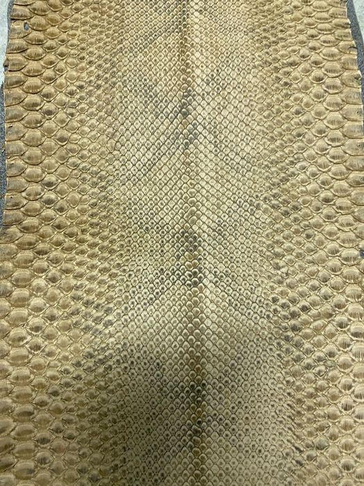 Естествена змийска кожа