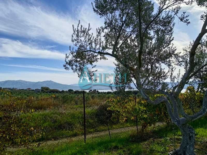 Парцел 1437м2 и75 маслинови дървета с.Волви, Аспровалта Гърция, с вода