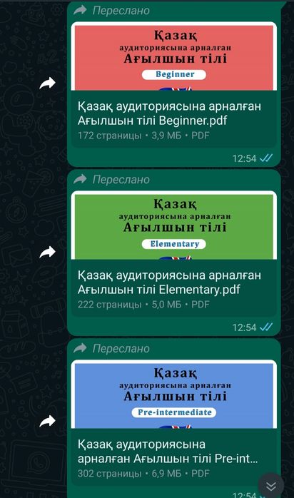 Электронды кітап