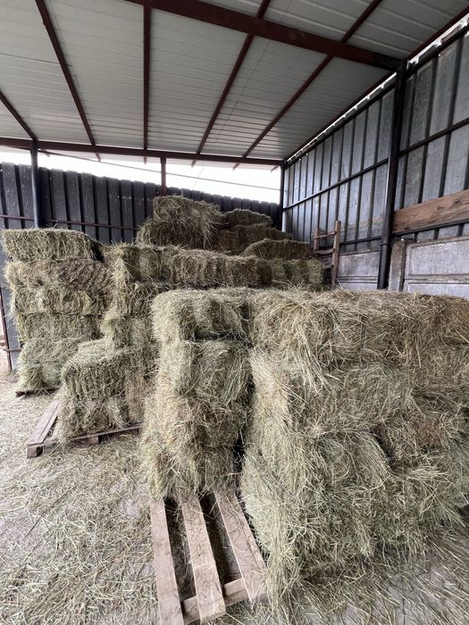 Vând baloți de fân