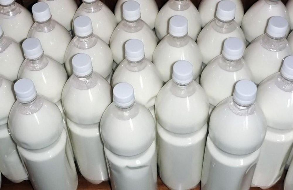 Кумыс чистый натуральный