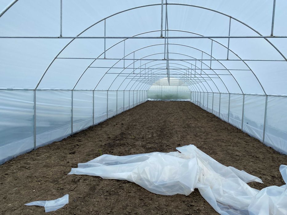 Solari Legume aerisire pe lateral