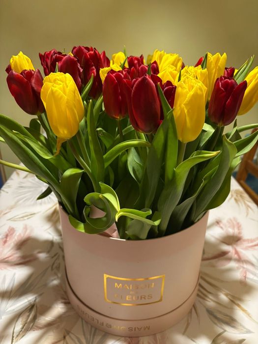 Тюльпаны на подарок