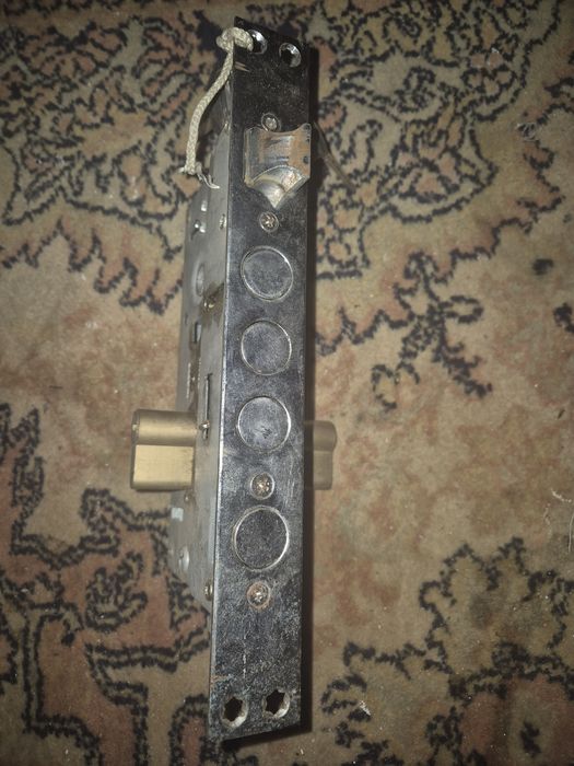 Broasca de usa de apartament