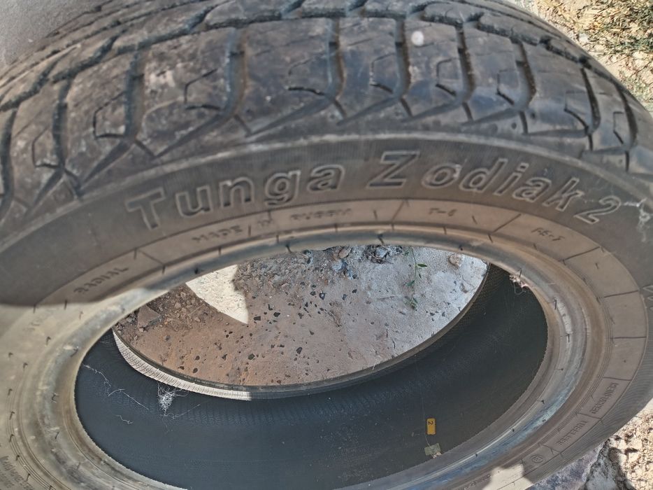 Шины Тунга Зодиак