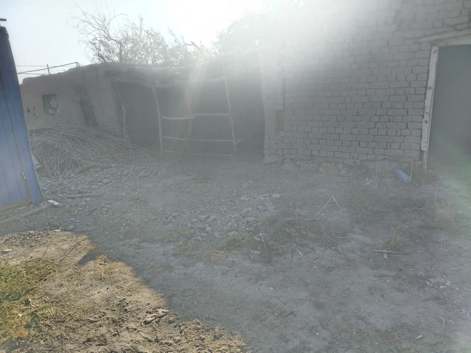 Уш болели мал кора сатылады