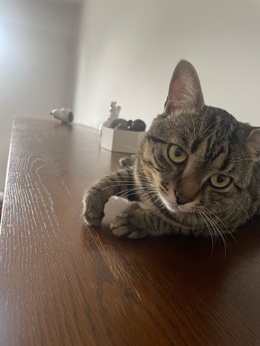 Biblioteca eleganta veche, din lem masiv, in stare buna