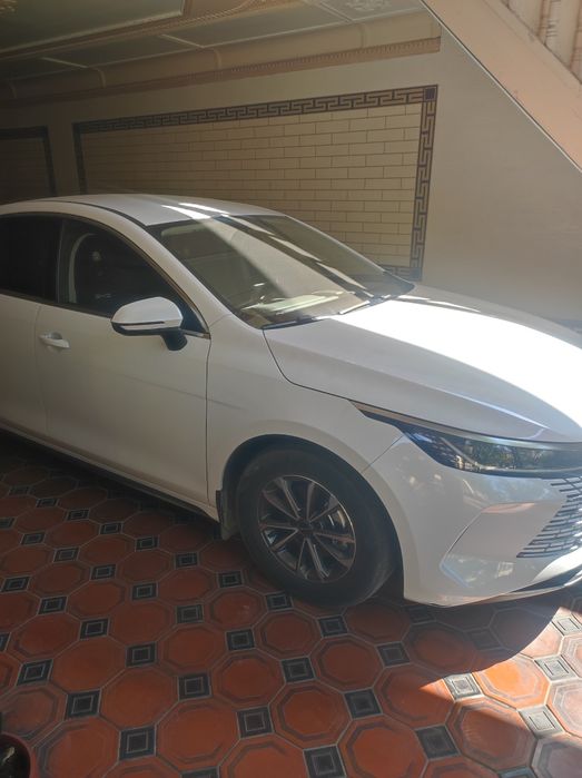 Byd chazor sotiladi