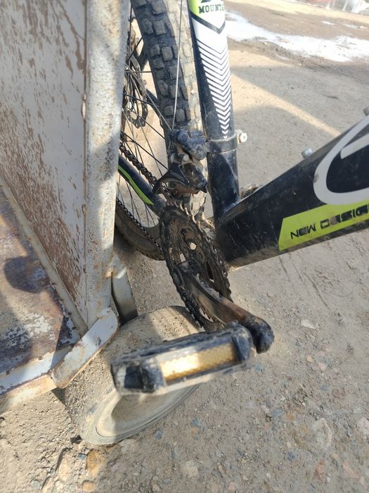 Пирадаю велик сирачна