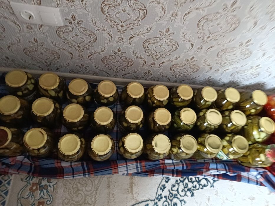 Продаются соленые огурцы