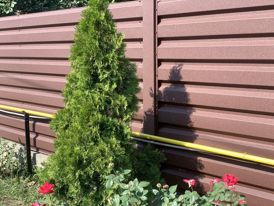 Tabla cutata T35 – gard metalic rezistent, multi ani