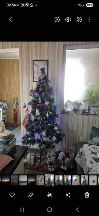 Коледна елха 180см