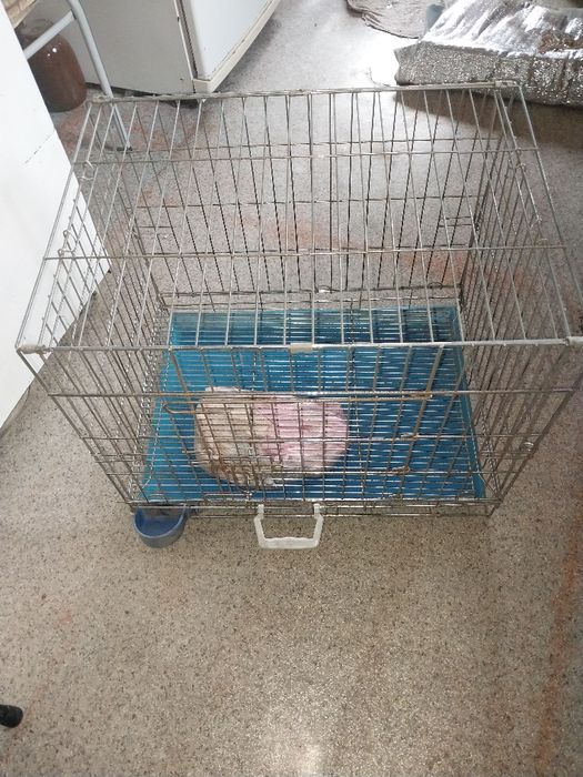 Продам клетку для животных