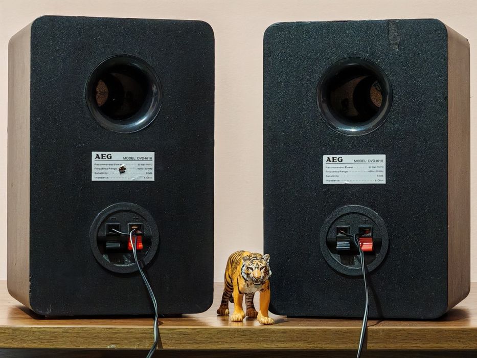 AEG DVD-4618. Boxe raft superbe. Sunet peste așteptări. Preț fix !