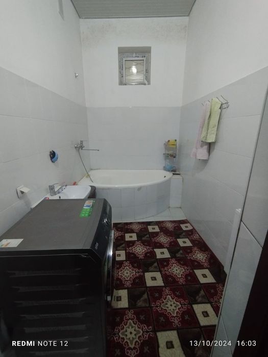 Kotej ijaraga beriladi