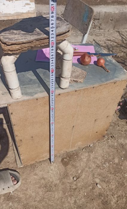 Gegant qora shaxzoda tuxumlari bor rasmdigi ota onalari