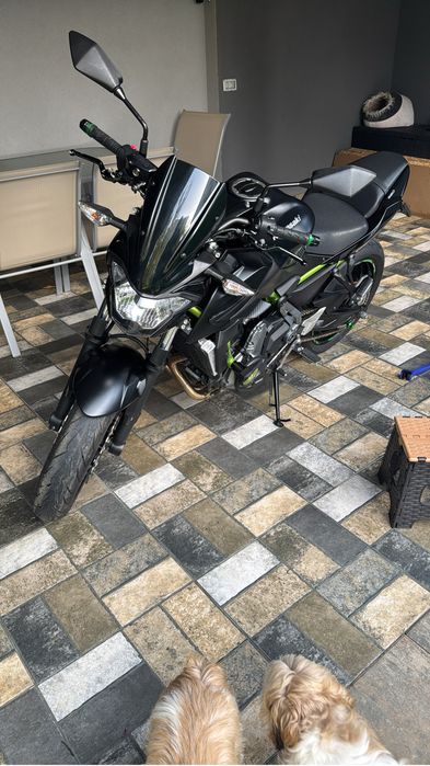 Kawasaki Z650 A2 / 2018