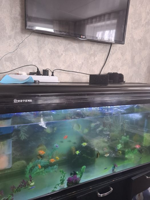 Продам аквариум в отличном мостоянии