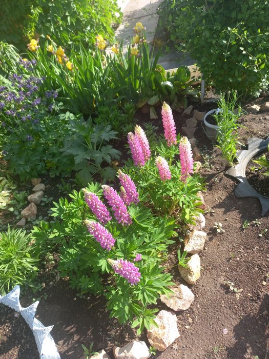 Продам дачу по Зерендинский трассе