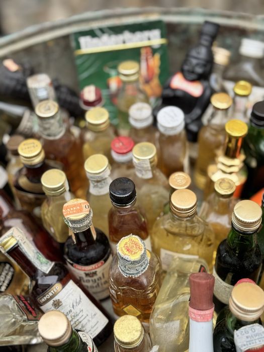 Miniaturi de beituri de colectie