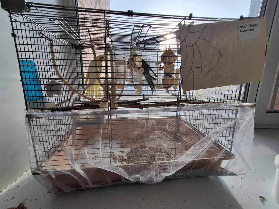 Продаются 2 коррелы