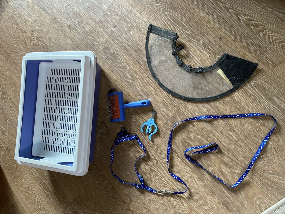 Кошачий лоток и дополнительные принадлежности