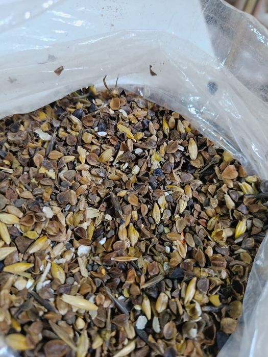 Отходы Отруби Зерноотходы Корма