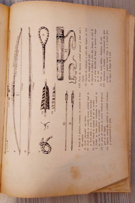 Carte Micii Salbatici-Ernest Thompson Seton