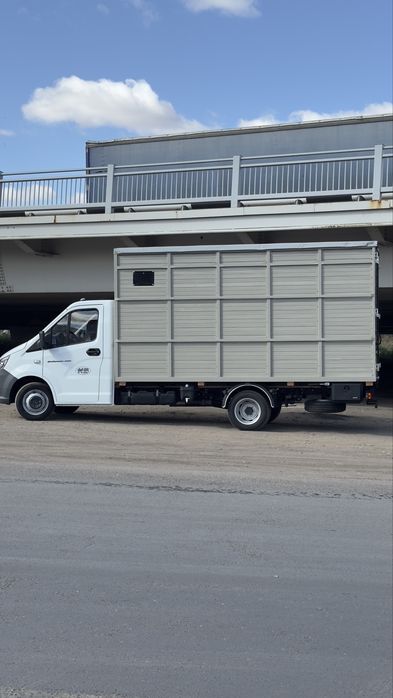 Газель  чесаво мусыр даставка