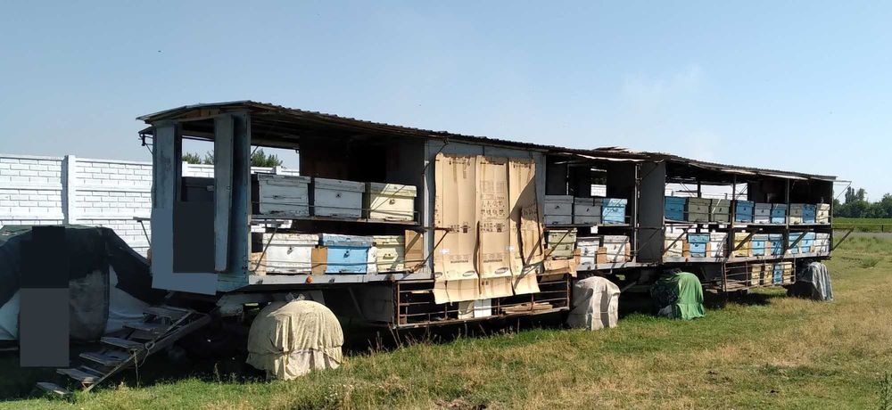 Пчелиный павильон