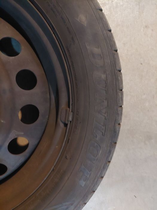 Roti R14 de vara , ca noi