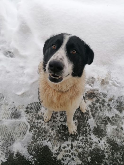 ищем дом этому мальчишке