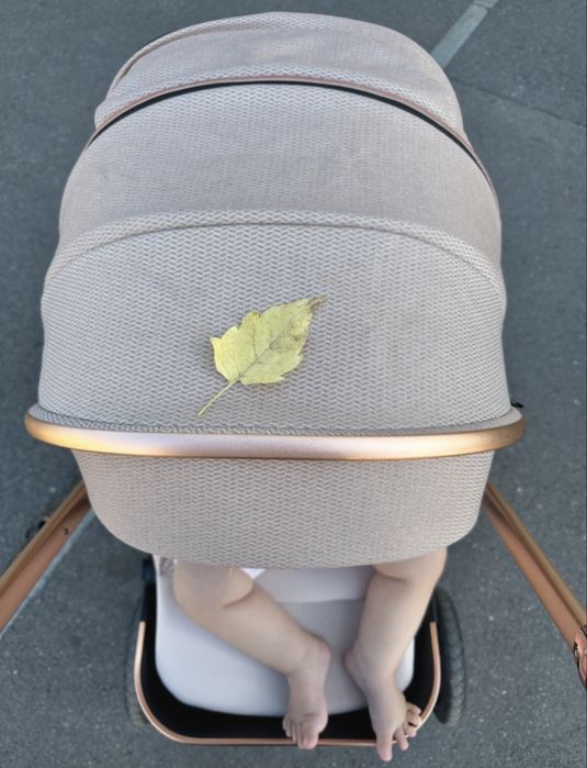 Carucior copii roz gold