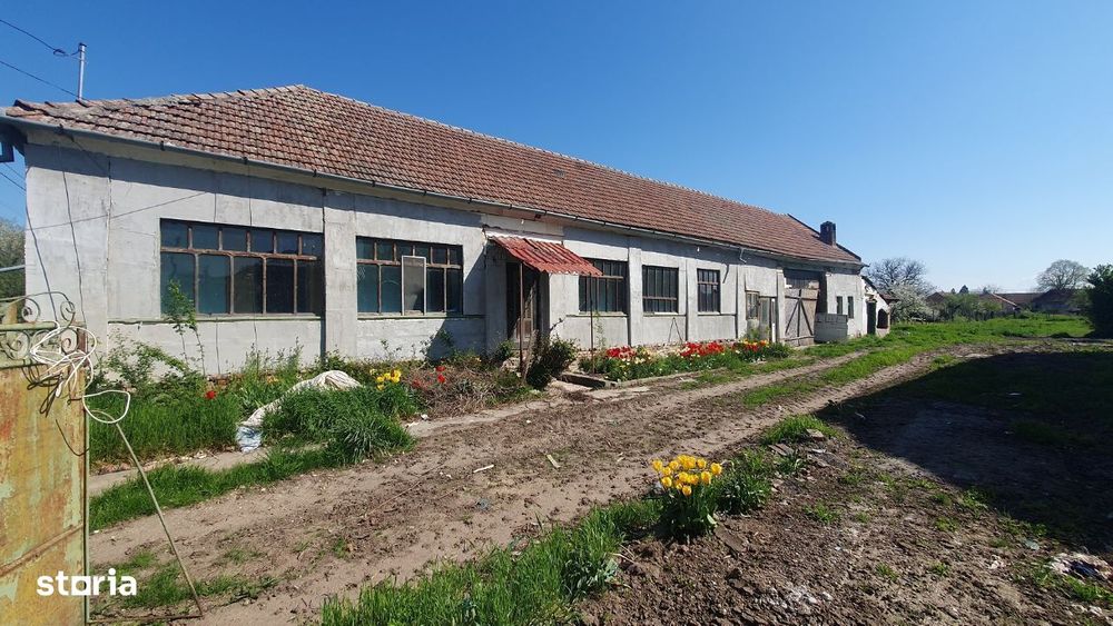 Vand teren cu casa veche in Zadareni - ID : RH-37250-property