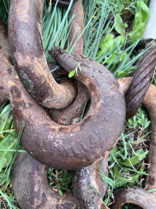 Пауки поселок Белбулак